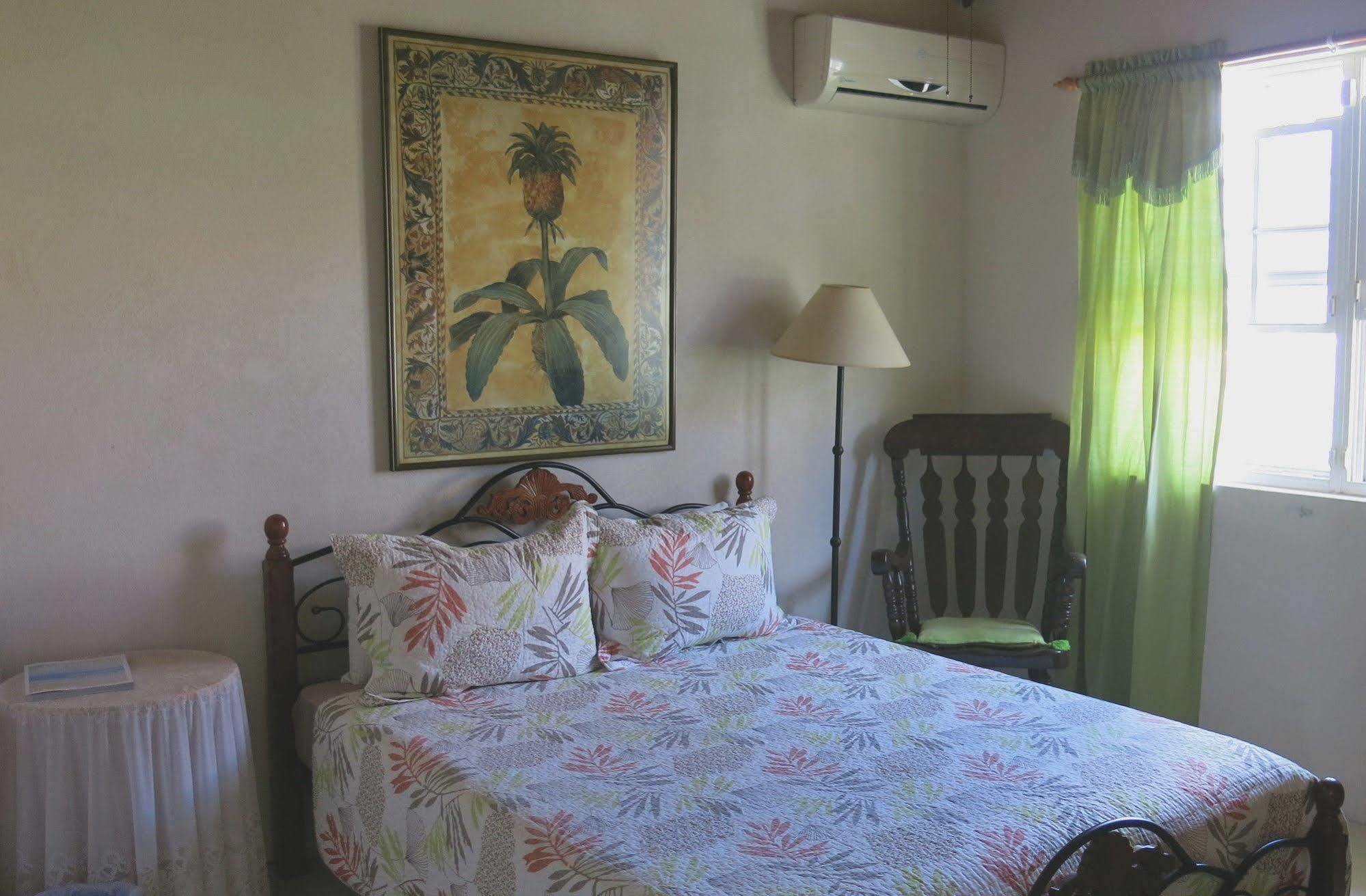 Gemini House Bed & Breakfast Christ Church Extérieur photo