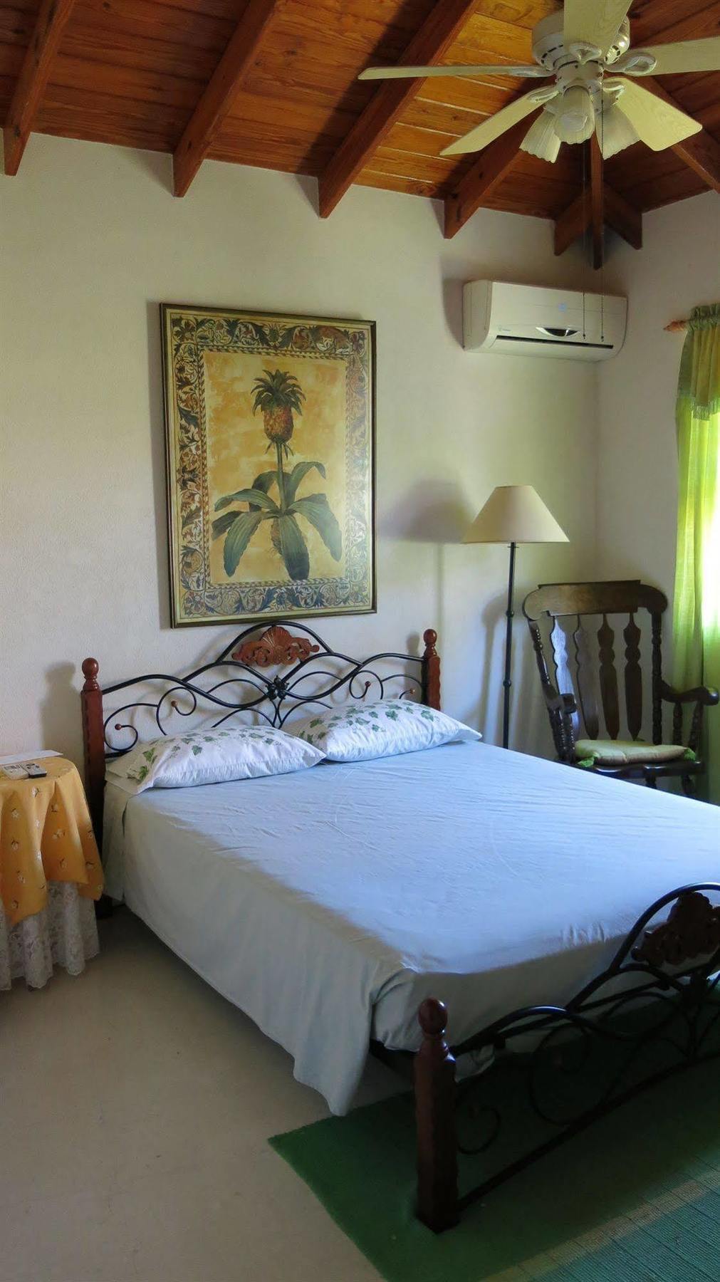 Gemini House Bed & Breakfast Christ Church Extérieur photo
