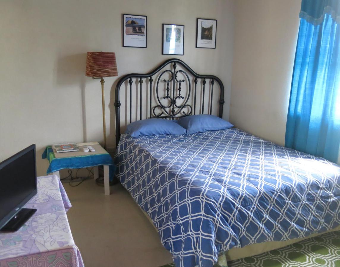 Gemini House Bed & Breakfast Christ Church Extérieur photo